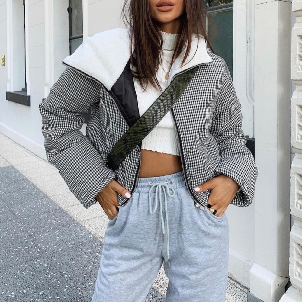 Black and White Puffer